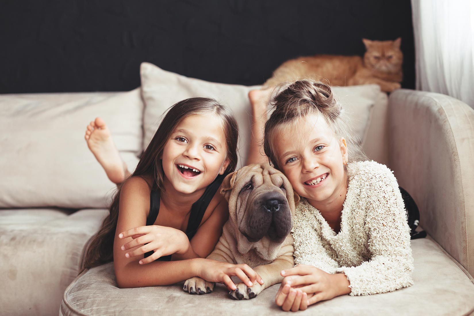 Two Smiling Caucasian Girls with a Dog and Cat on a Couch for Pro Painters Blog Header Image