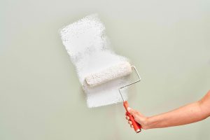 best primer for interior walls