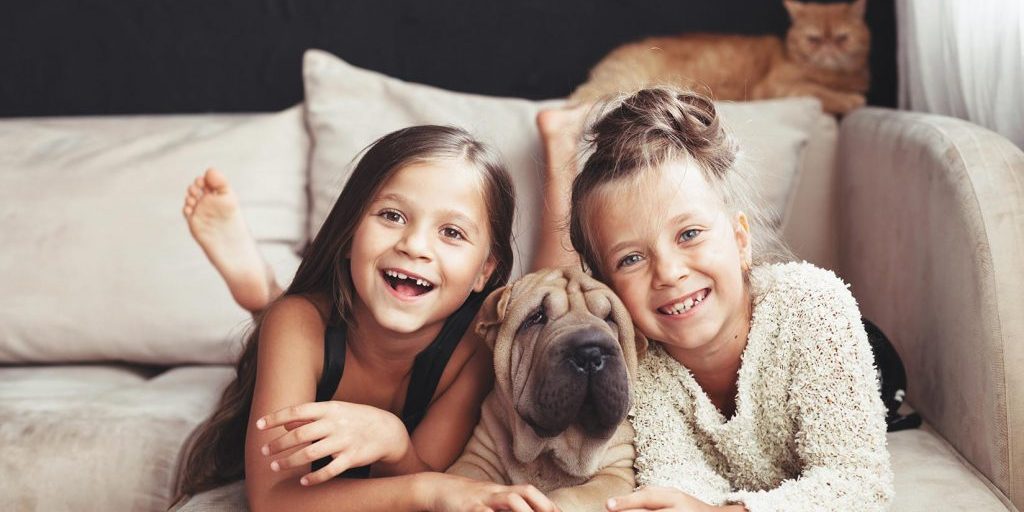 Two Smiling Caucasian Girls with a Dog and Cat on a Couch for Pro Painters Blog Header Image